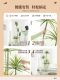 Artificial Green Plant Decoration, Simulated Indoor Large Potted Dragon Blood Tree, Living Room Floor-Standing Ornament, High-End Light Luxury Artificial Flower Plant