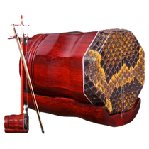 Rosewood musical instrument learning and playing erhu complete set of accessories for grade examination erhu