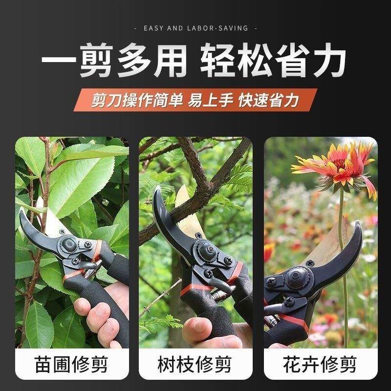 钢剪树剪子，果树剪修枝神器！修剪利器推荐-园艺刀剪-淘宝好物网