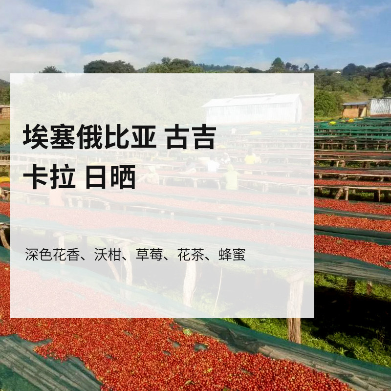 🌟探索2025埃塞古吉高海拔日晒SOE,让味蕾享受花香与草莓的盛宴🍓-咖啡豆-淘宝好物网