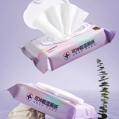 安心医生湿厕纸家庭实惠装男女士孕妇专用私处湿厕纸巾厕所湿巾1