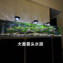Ledi Algae Exploding Light Fish Tank Dome Light Fish Tank Waterproof LED Light Full Spectrum Fish Tank Aquatic Plant Light Native Stream Tank Light