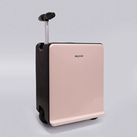 Глазурный порошок [можно сесть в самолет + пароль TSA]