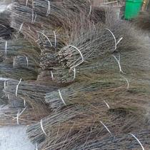 Materials for big bamboo head bamboo broom bamboo broom sanitation workers are cheap broom head bamboo broom material