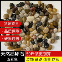 50 catty white yellow Five colorful pebbles Natural rain and stone paving Courtyard Garden Park Hotel Building