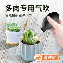 Succulent water blowing artifact powerful air blowing leather tiger camera dust cleaning leather blowing tool lens cleaning manual dust blower cmos blowing dust rubber ball blowing air bag micro SLR dust blowing brush