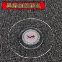 Cricket cricket photo turntable insect viewing and insect selection equipment cricket turntable silent turntable acrylic turntable