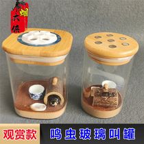 Singing insects crickets oil gourds grasshoppers pricking their mouths transparent glass three-in-one soil-bottomed ornamental calling jars