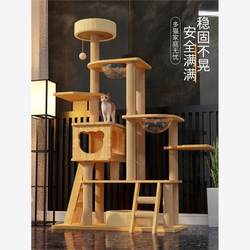 Japanese Imported All-Season Large Space Capsule Solid Wood Integrated Cat Climbing Frame Cat Bed Cat Tree Cat Scratching Board Cat Villa