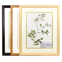 Traditional Chinese Medicine specimen Raaf specimen teaching and learning exchange display