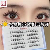 p Xiaohongshu transparent crystal stalk ultra-fine little devil false eyelashes segmented natural curling eyelashes thick quality eyelashes p