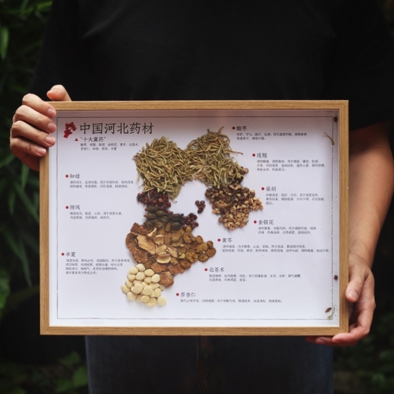 走进神秘的中药世界——中药地图装饰画引领小学生的探索之旅