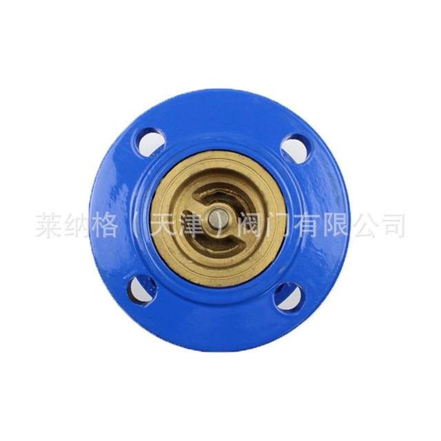 Flange type ductile iron check valve silencer check valve HC41X-16Q ground valve ຜູ້ຜະລິດ