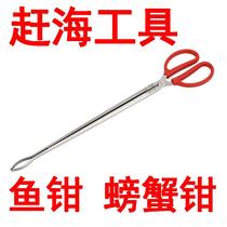 Xinjiangs sea artifact stainless steel eel clip eel clip loach crab pliers non-slip anti-off catching