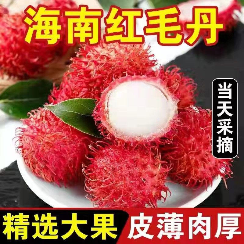 海南红毛丹新鲜水果：当季毛荔枝，3-5斤带箱包邮，尝鲜就趁现在！-毛丹-淘宝好物网