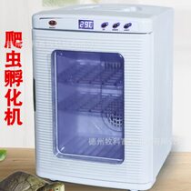 Chameleon reptile pet incubator IG lizard turtle incubator reptile professional incubator thermostat