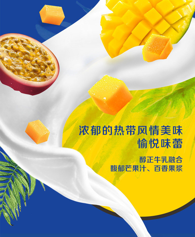 安享好物 安享A级酸奶-安慕希芒果 百香果酸奶 国标