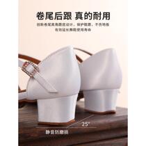New childrens Latin dance shoes professional girls flat-heeled dance shoes childrens girls beginner practice shoes white
