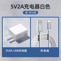 Белый [5 В, 2 А/10 Вт] + кабель для передачи данных [1 метр]