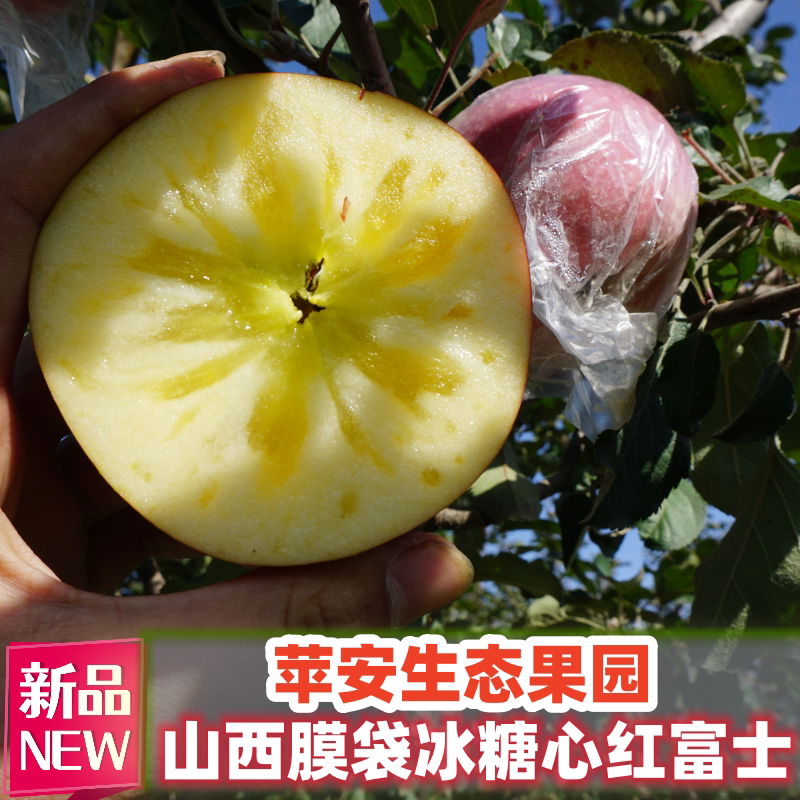苹安生态果园新