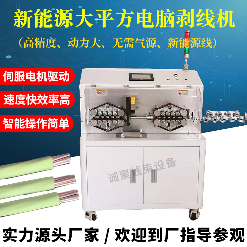 Fully Automatic Large Square Meter Computer Wire Stripping Machine New Energy Ac Dc Charging Pile Wire and Cable Stripping Machine Fully Automatic Large Square Meter Computer Wire Stripping Machine New Energy Ac Dc Charging Pile Wire and Cable Stripping Machine