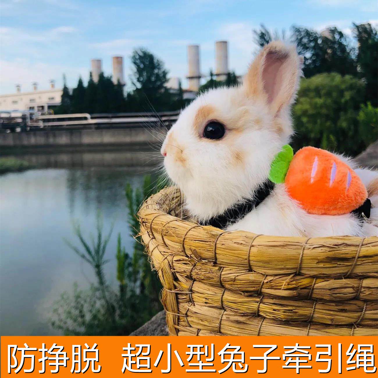 溜兔子神器来袭！宠物兔防挣脱外出兔兔防咬背心式可调节牵引绳，让你轻松遛兔！-兔绳-淘宝好物网