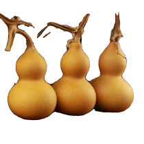 Play with the little gourd