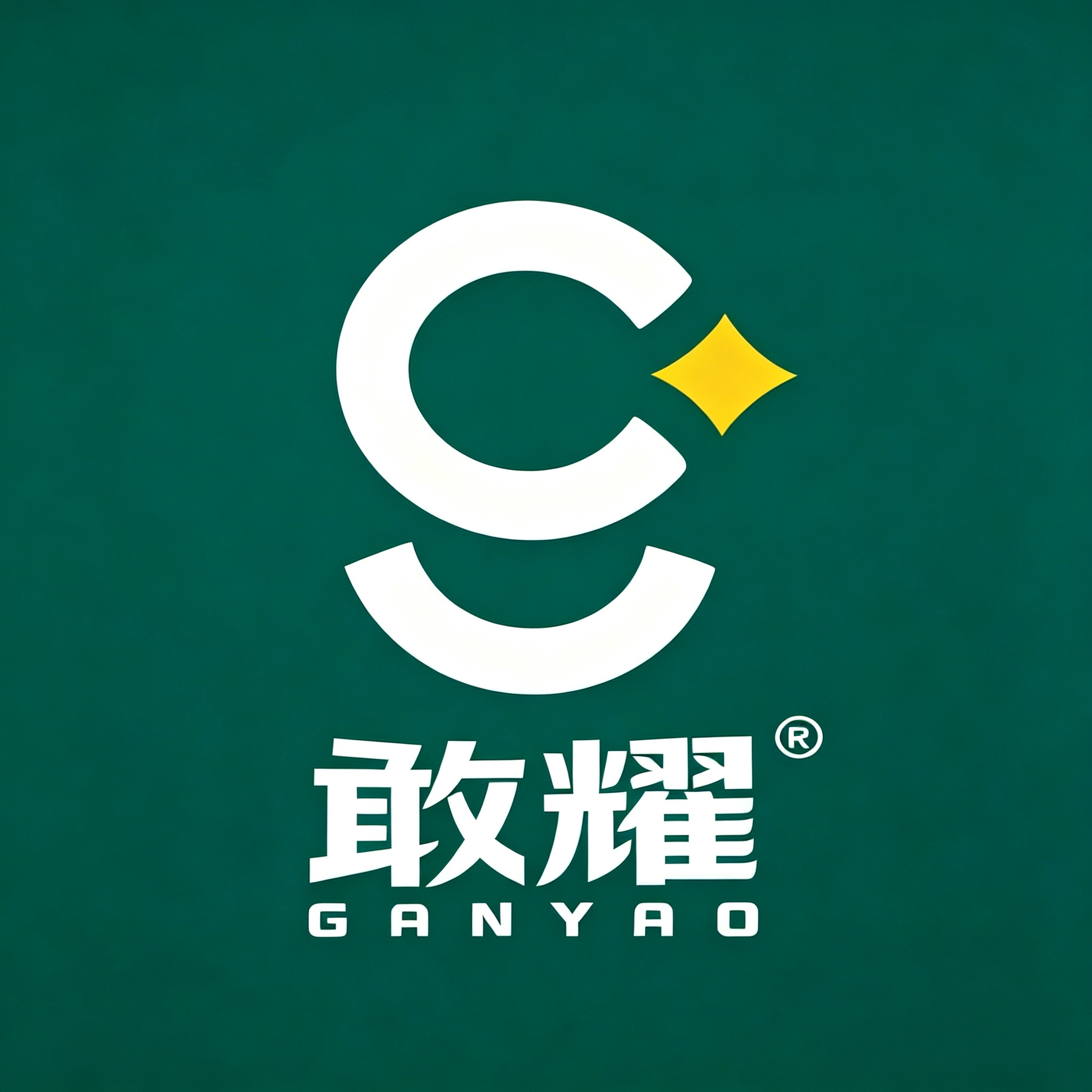 敢耀工厂店