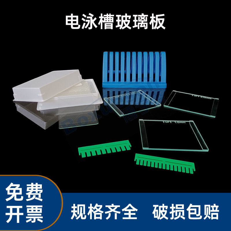 Western Blot 短玻璃板 替代伯乐 WB蛋白电泳制胶用玻璃板垂直槽 加样梳 玻璃沥水架