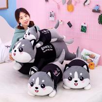 Husky plush toy pillow doll dog doll boy sleeping doll bed Valentines Day birthday gift