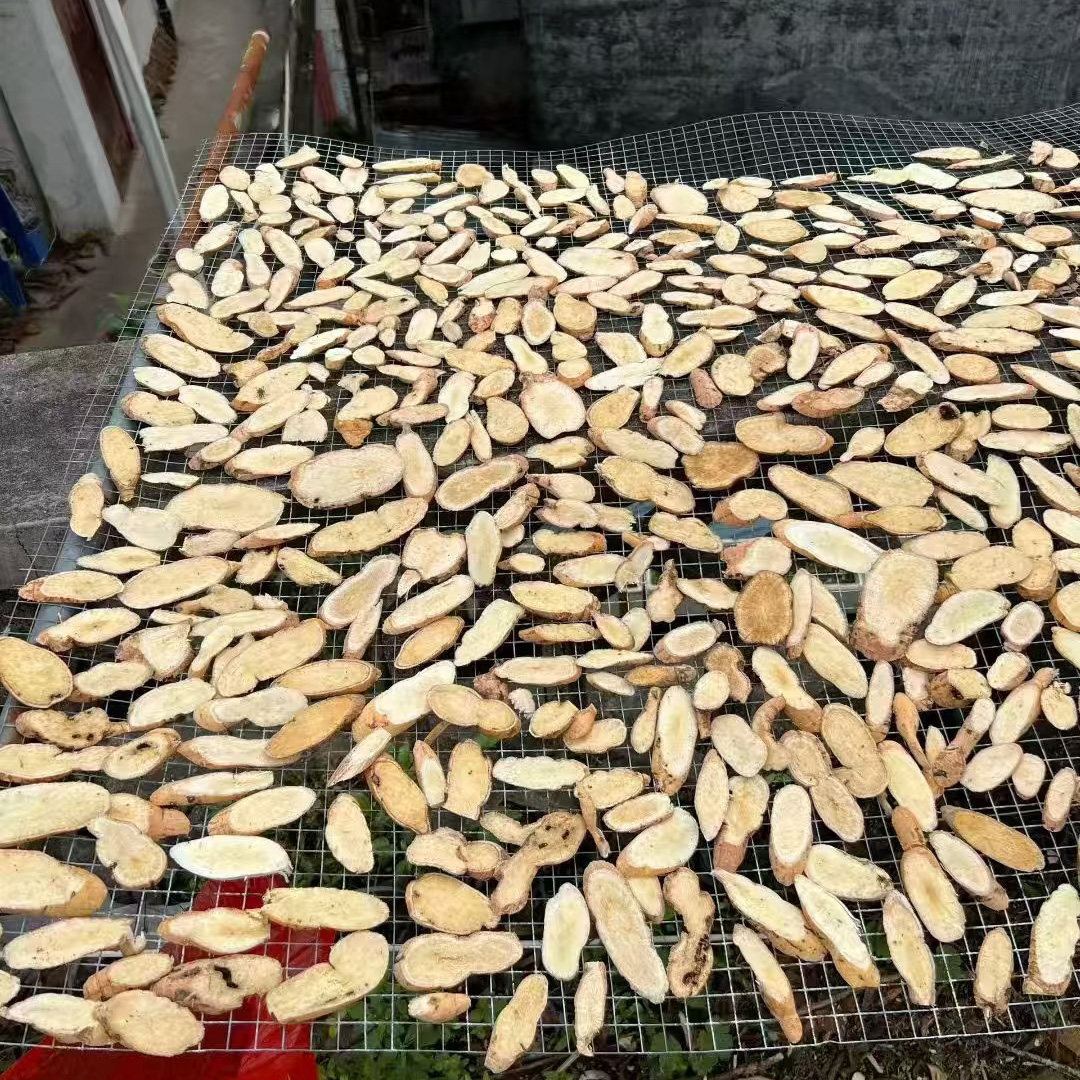 广西野生特产小店