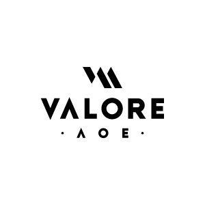 VALORE AOE旗舰店的LOGO