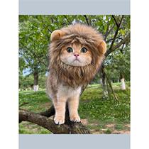 Funny pet headband hat Internet celebrity cat lion headdress rabbit ears bear cute cross-dressing pet hat