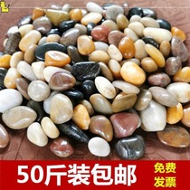 Nanjing Yuhua Stone natural cobblestone paving multicolored stone garden landscaping fish tank decorative flower pot Z stone courtyard