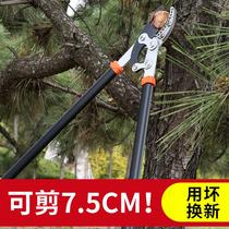 German thick-branch fruit tree pruning scissors vigorous greening pruning pruning branches garden special powerful scissors flower and tree branches