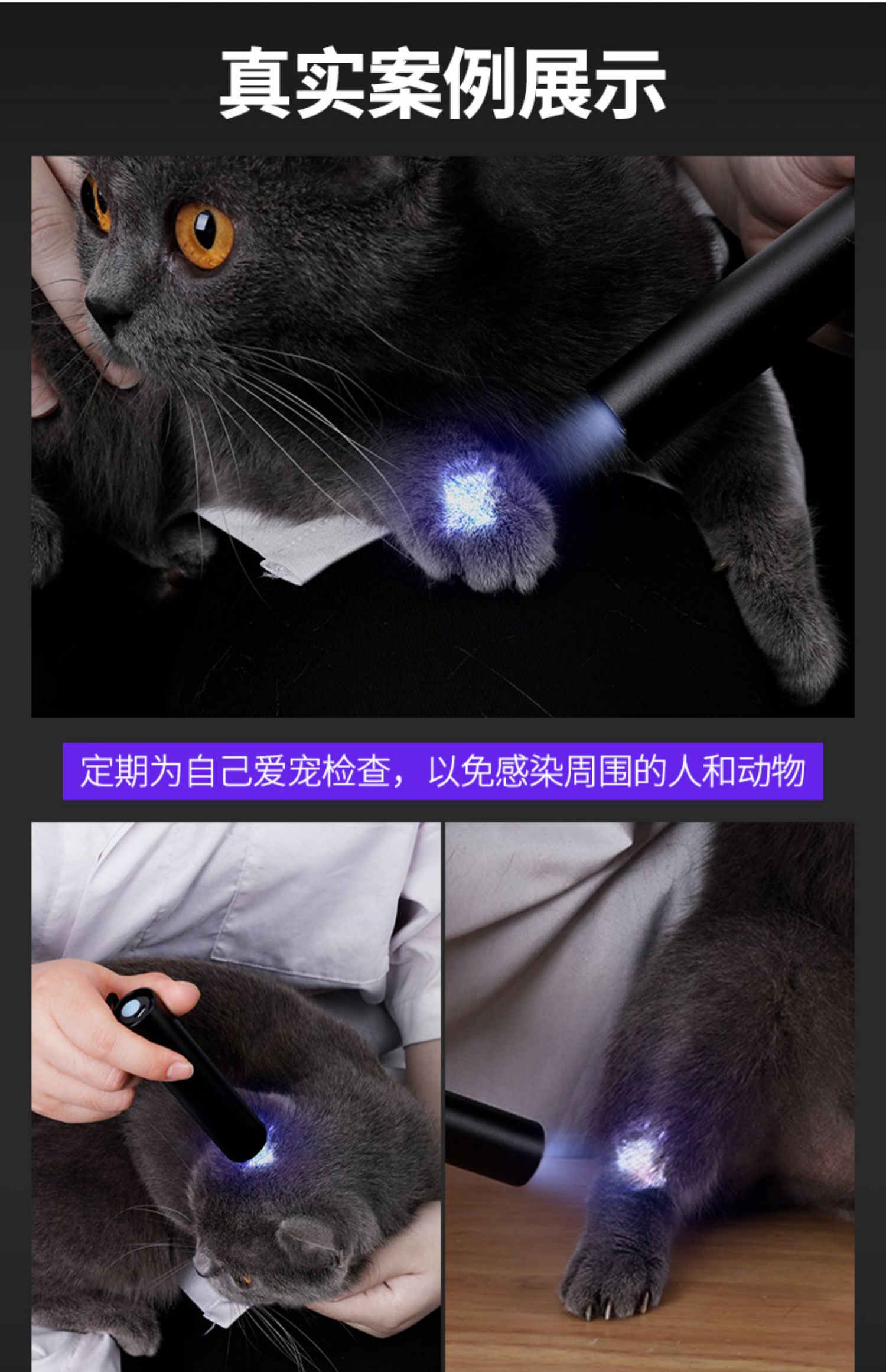 Cross-Border Popular Product: Wood's Lamp for Detecting Cat Ringworm, Urine Fungus, and Fluorescent Agents; Mini Flashlight with Ultraviolet Light for Banknote Verification