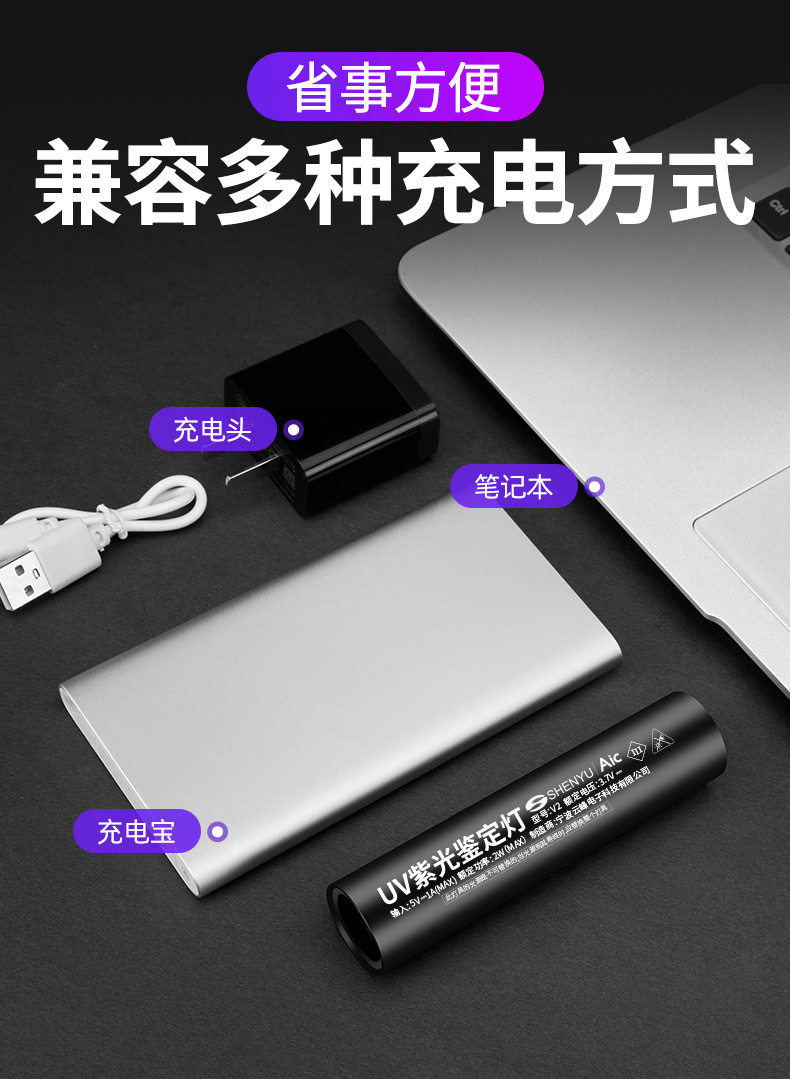 Cross-Border Popular Product: Wood's Lamp for Detecting Cat Ringworm, Urine Fungus, and Fluorescent Agents; Mini Flashlight with Ultraviolet Light for Banknote Verification