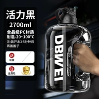 (Модернизированное) 05 Hyun Black 2,7 литра [можно оборудовать горячей водой] Материал ПК+соломинка+утечка отступление