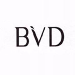 BVD数码店的LOGO