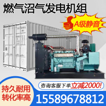 50 400 800KW gas biogas generator set for small household fully automatic high-power outdoor breeding farms
