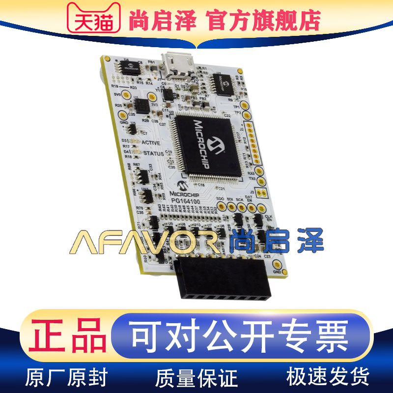 PG164100 Microchip 开发板MPLAB SNAP DEBUGGER 调试器 编程器