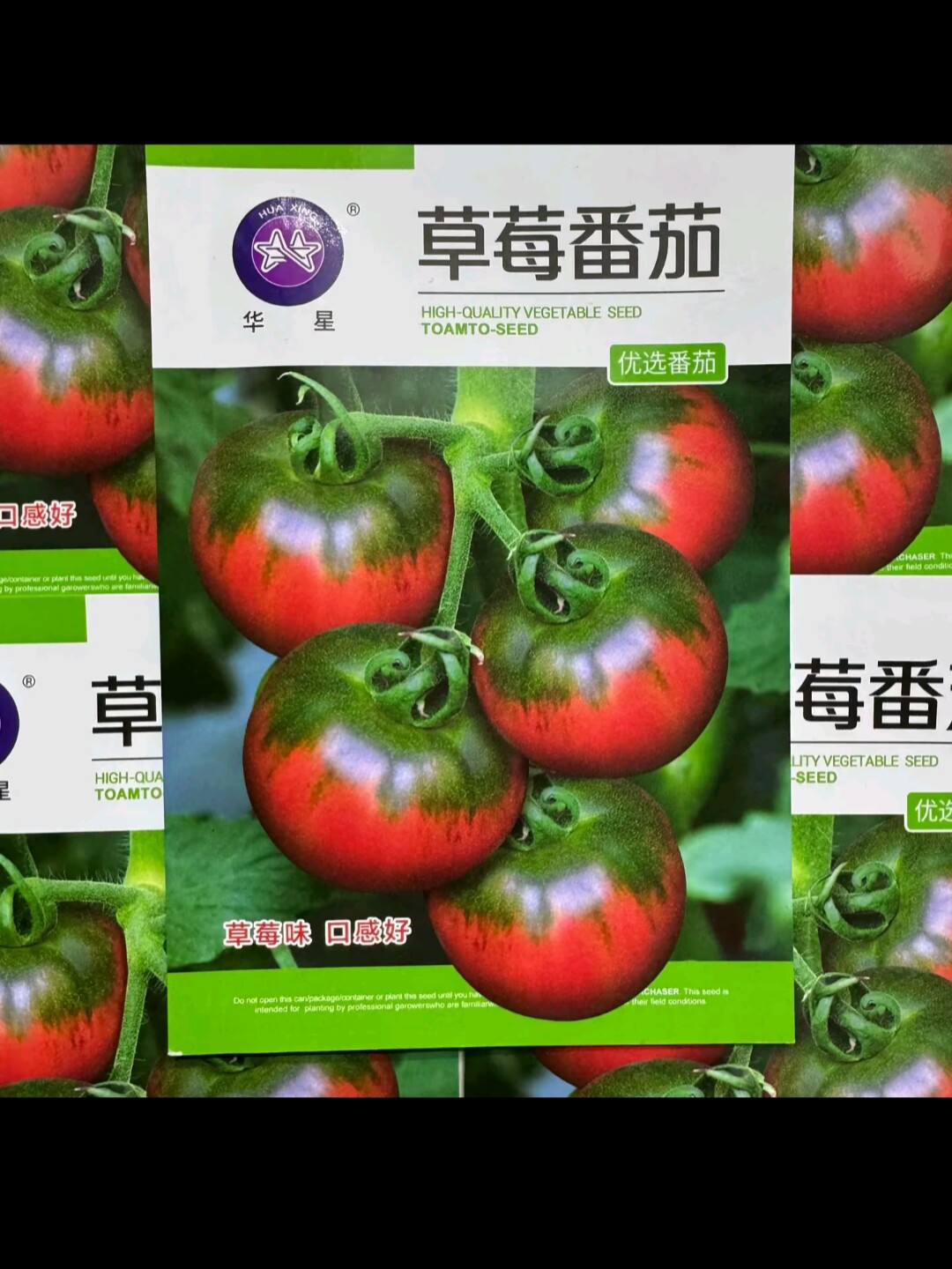 东北黑土地种业的LOGO