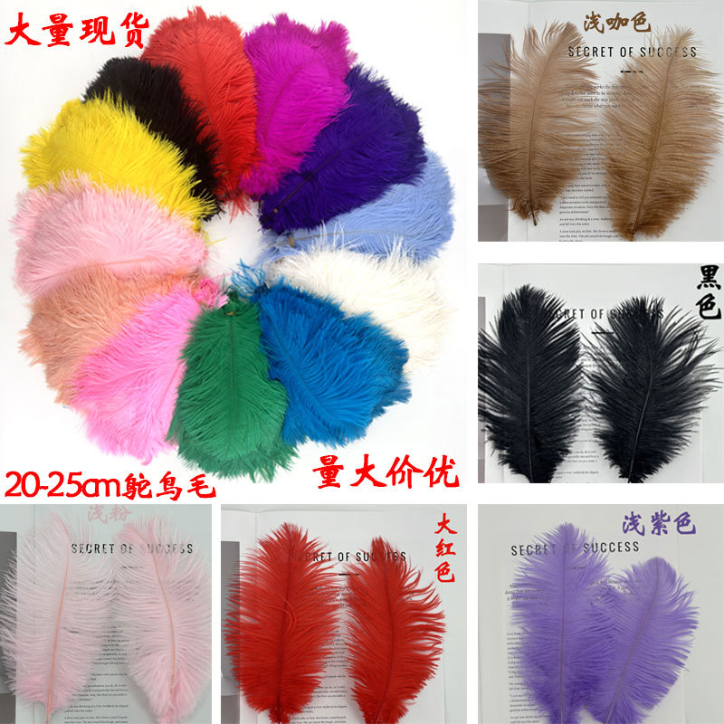Ostrich Feathers 20-25cm Colorful Feathers Qixi Festival Gift Mother's Day Bouquet Feathers ins Headwear Photo Props Ostrich Feathers 20-25cm Colorful Feathers Qixi Festival Gift Mother's Day Bouquet Feathers ins Headwear Photo Props