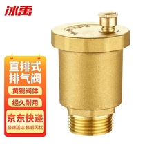 Bingyu yc-170 national standard brass exhaust valve direct automatic exhaust valve quick valve DN203 4