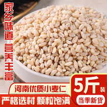 Grains de blé du Henan pelés riz de grains de blé nouveau de haute qualité décortiqué avec du germe pour la cuisson du porridge et du riz avec de la levure de grain de blé fraîche produite à la maison