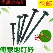 Xinjiang Tibet grass-proof cloth ground nails plastic ground nails thickened and lengthened fruit gardening ground cloth nails pull branch fixation large