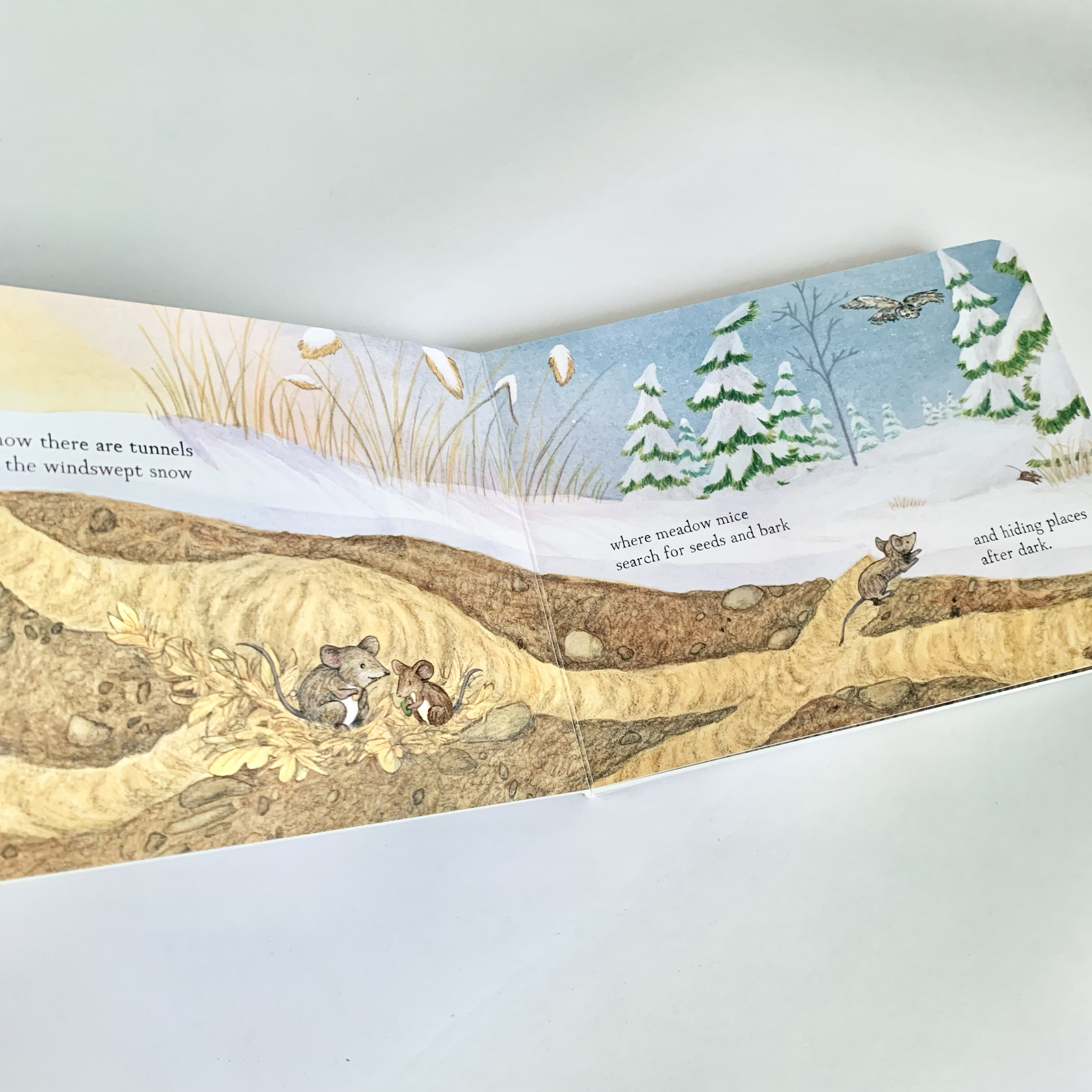 《<strong>消防员山姆迷路的小羊</strong>》原版平装英文绘本适合哪些孩子阅读？