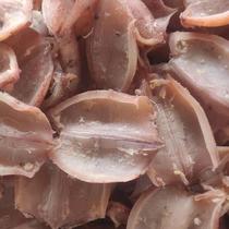 Lianyungang cuttlefish gutted squid large slices of sea rabbit dried squid light-dried squid dried seafood high-quality new goods