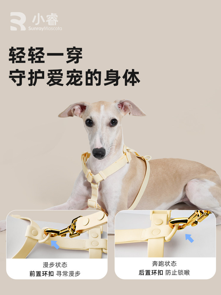 Sunraymascota Dog Harness Waterproof Pet Vest-Style Vest for Medium-Sized Dogs Anti-Escape Leash