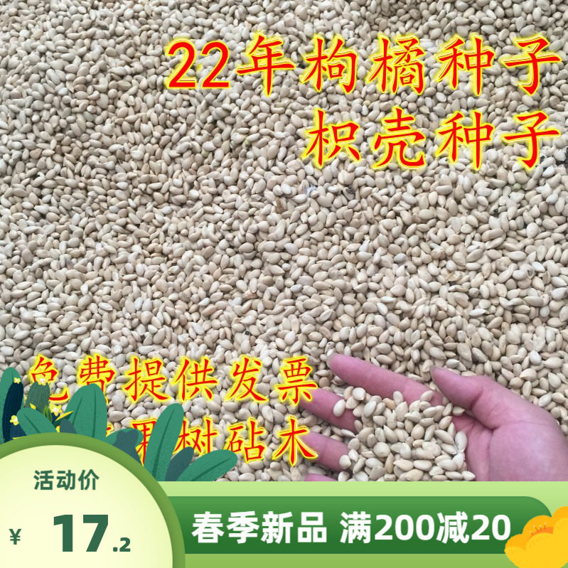 枸橘种子和枳壳种籽能否成功嫁接到柑橘上?成功率高吗?-果树种子种苗-淘宝好物网